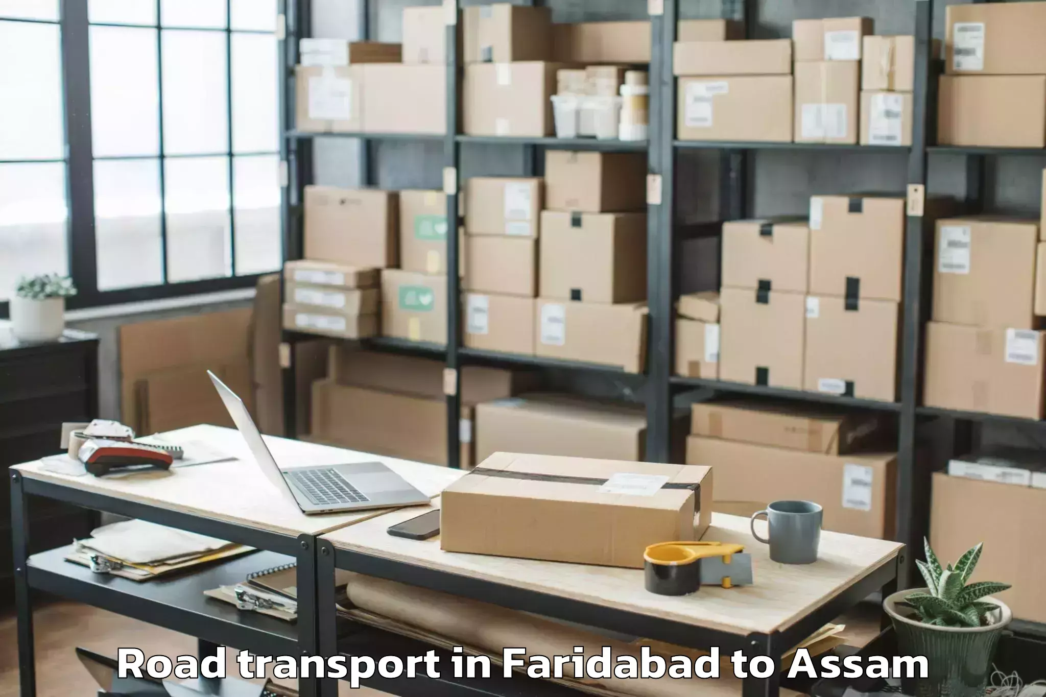 Comprehensive Faridabad to Srimanta Sankaradeva Universit Road Transport